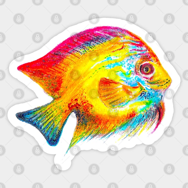 Colorful Roly Poly Fish Sticker by Neginmf